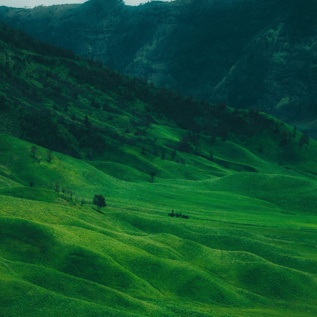 Meet Me in the Green Glen&nbsp;(2024)